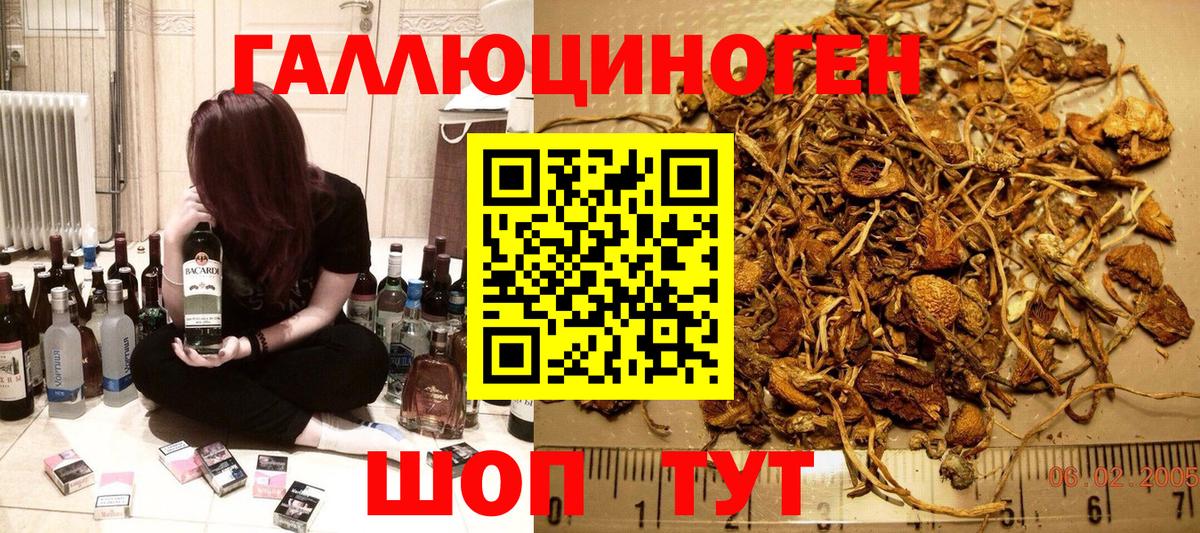 Псилоцибиновые грибы MAGIC MUSHROOMS  Вход с VPN  Раменское 
