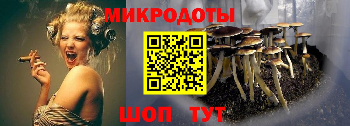 Псилоцибиновые грибы Psilocybine cubensis Раменское